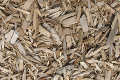 biomass boilers Lavister